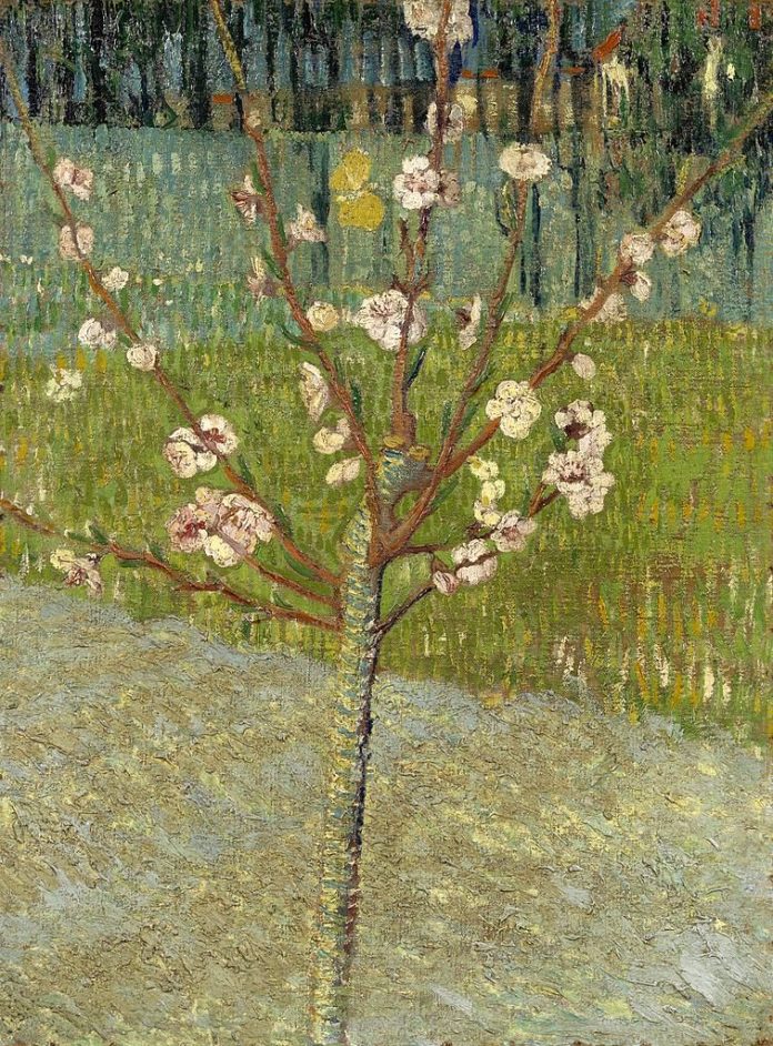 风景油画_杏树开花_almond tree in blossom-文森特·梵高