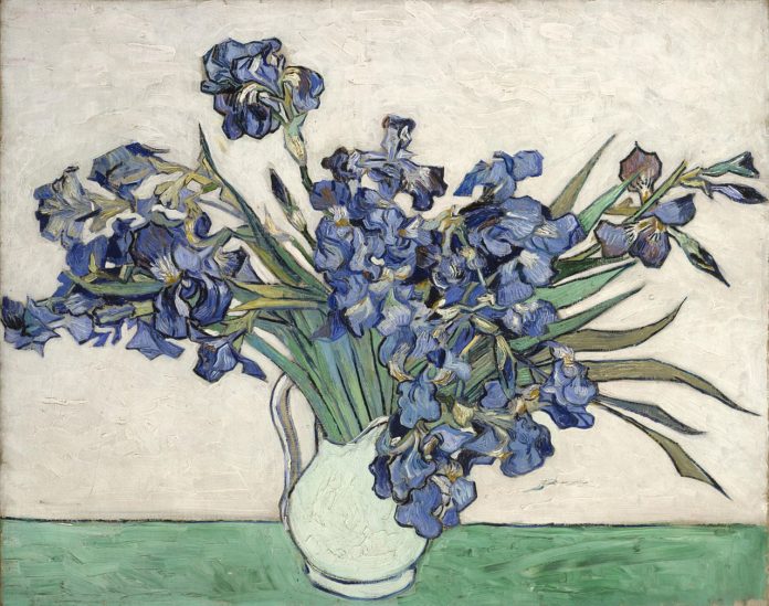 油画静物_鸢尾花_irises-文森特·梵高