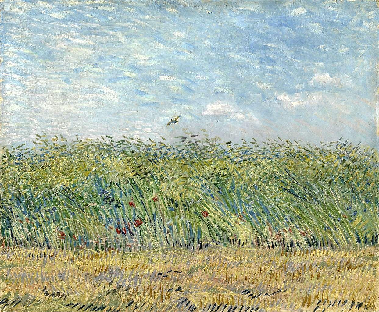 其中鹧鸪_wheatfield with partridge-文森特·梵高