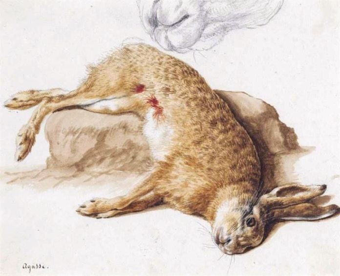 一只死去兔子的静物,研究它的鼻子_still life of a dead hare with a