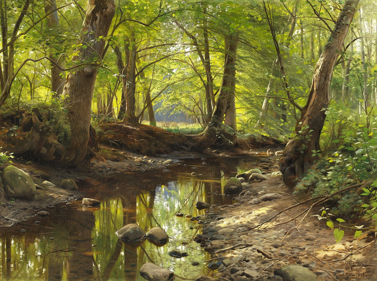 森林中的一条小溪_a stream in a forest-彼得·莫克