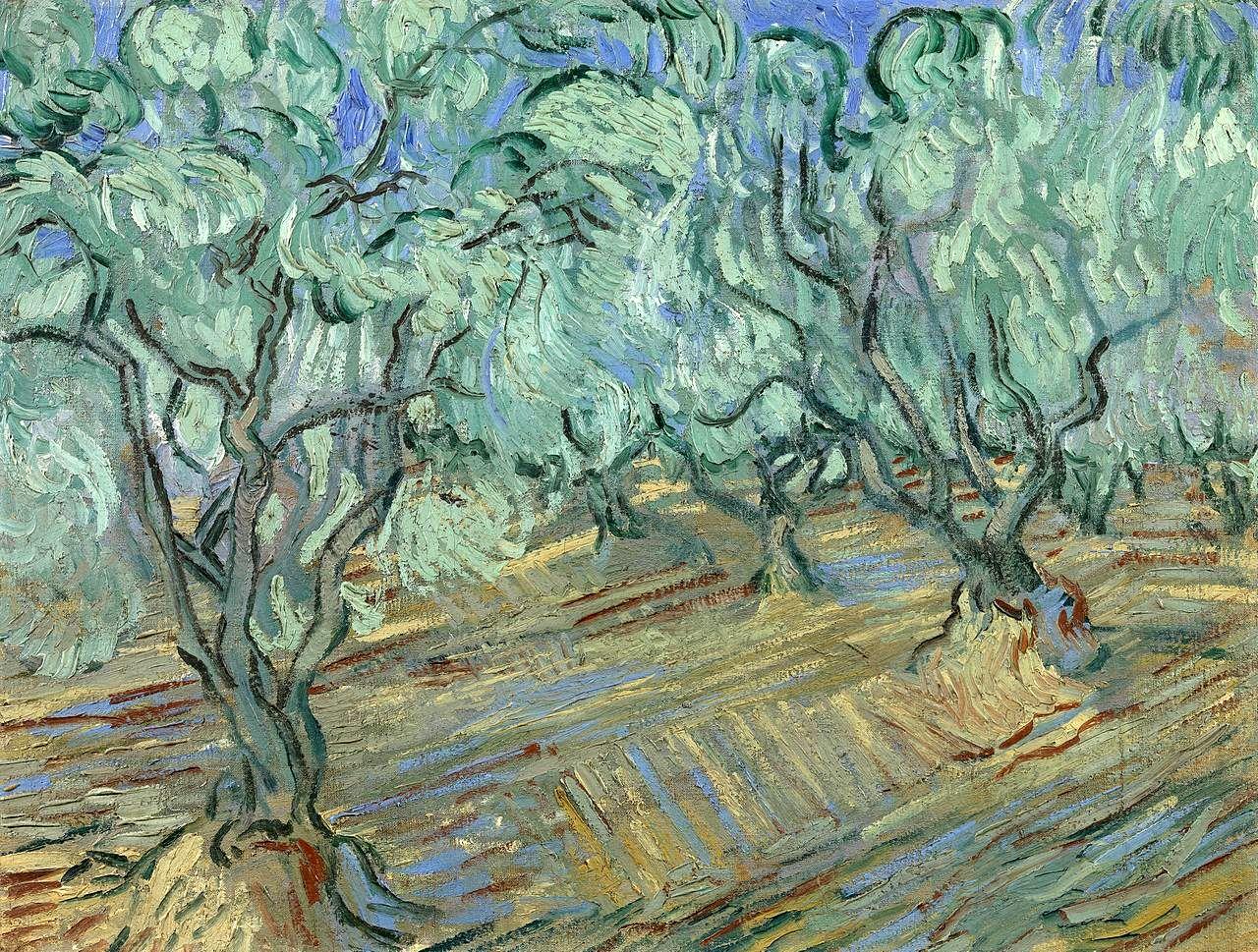 场景油画 橄榄树林 也被称为 橄榄树林 蔚蓝天空 Olive Grove Also Known As Olive Grove Bright Blue Sky 文森特 梵高